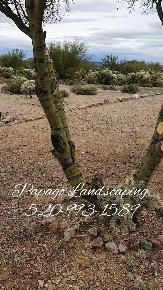 Papago Landscaping project