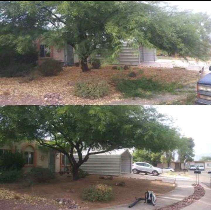 Papago Landscaping project
